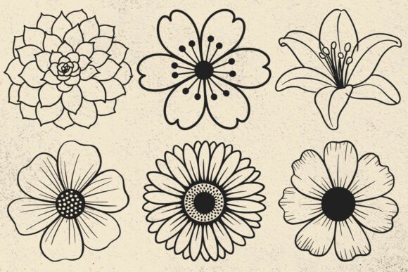 Download Flower SVG Bundle File, Floral SVG Files - Floral svg files Collection